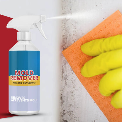 Mold Remover – Sprej na Odstranění Vlhkosti a Plísní s Příjemnou Vůní